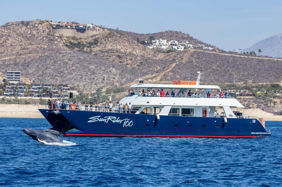 Cabo San Lucas: Whale Watching Tour with Buffet & Open Bar - Inside the 100-inch two-deck boat: views, comfort, and bathrooms