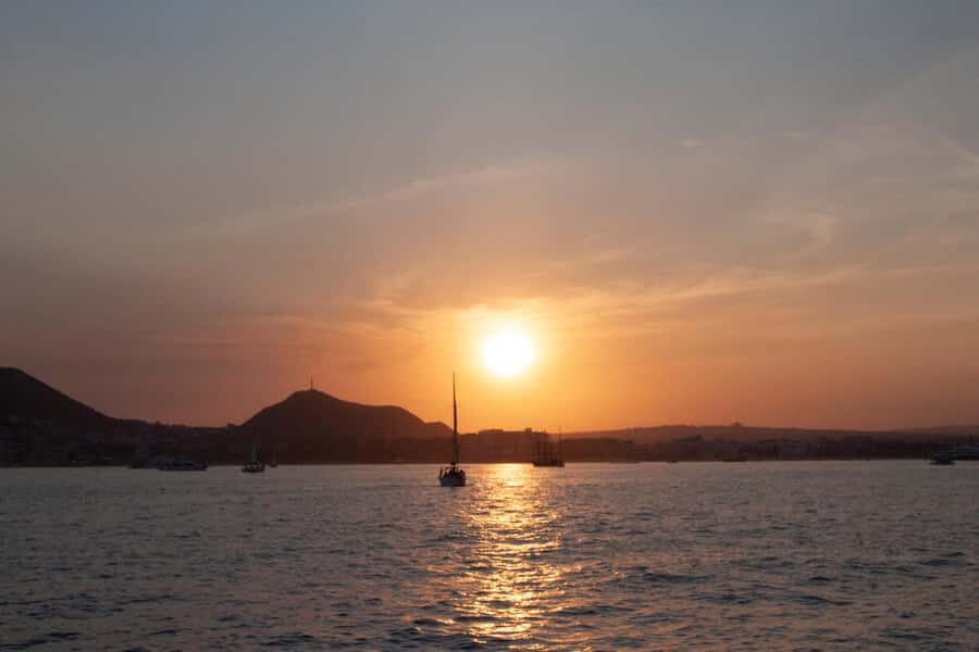 Cabo San Lucas: Whale Watching Tour with Buffet & Open Bar - Conservation and safety: the tone you want on a whale tour