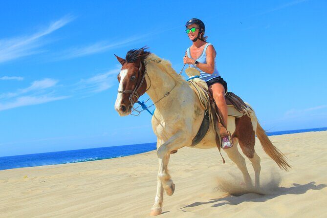 Cabo Shore Excursion: Beach Horseback Ride & Tequila Tasting - The 3-Hour Flow: Desert Ride, Cabo Stops, and Back Again