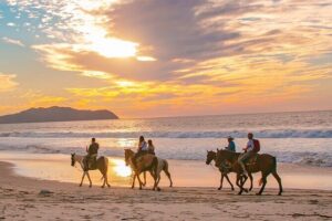 Cabo Shore Excursion: Beach Horseback Ride & Tequila Tasting - Stop 1: Playa Migrino Beach Time (Cacti, Ocean Edge, Wildlife Chances)