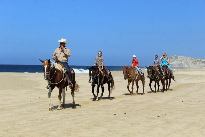 Cabo Shore Excursion: Beach Horseback Ride & Tequila Tasting - Stop 2: Los Cabos Views Between the Riding Moments