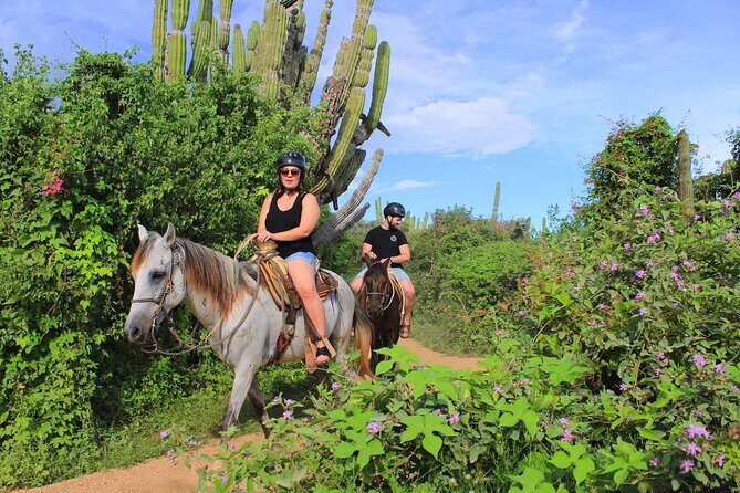 Cabo Shore Excursion: Beach Horseback Ride & Tequila Tasting - The Horses and Guides: Comfort Level Is a Big Deal
