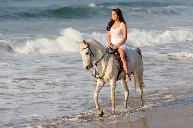 Cabo Shore Excursion: Beach Horseback Ride & Tequila Tasting - Photos and Upsells: Plan for the Real-World Extra Costs