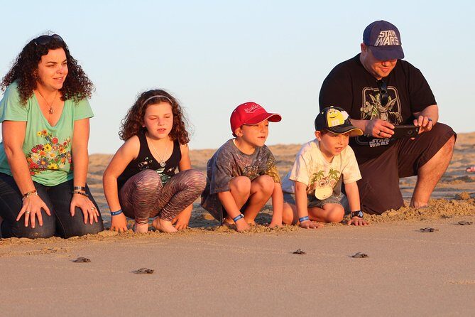 Cabo Turtle Release - Meeting at CaboTrekHotel Tesoro: save time, skip the taxi hunt