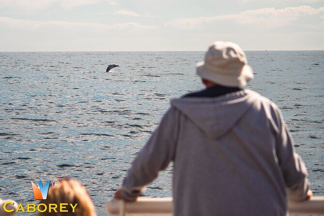 Cabo Whale Watch Three-Level Vessel and Majestic Arch - Key Things to Know Before You Go