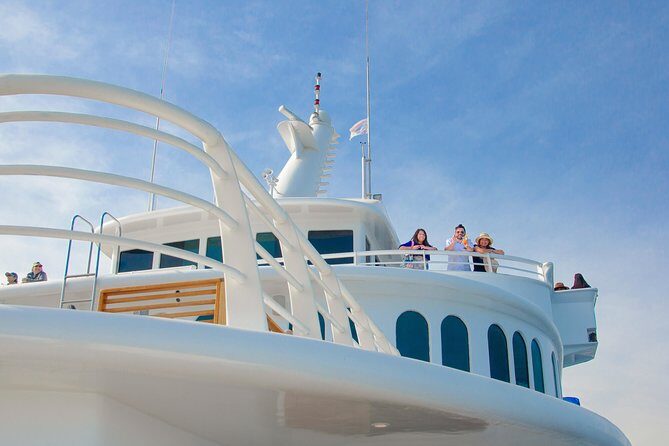 Cabo Whale Watch Three-Level Vessel and Majestic Arch - DJ Music, Staff Energy, and the Real-World Value of the Included Extras