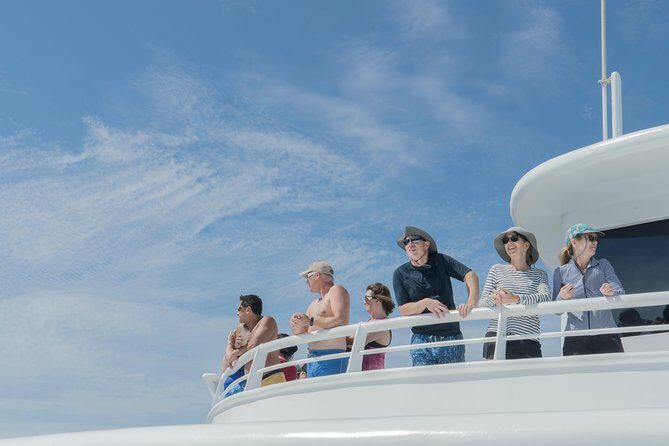 Cabo Whale Watch Three-Level Vessel and Majestic Arch - Price and Value: Is $95 Worth It in Cabo?