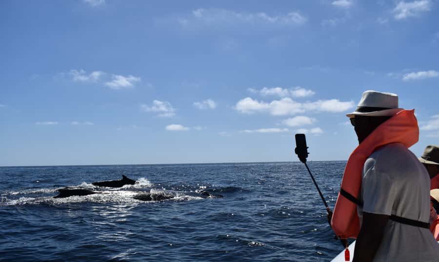 Cabo: Whale-Whatching Boat Trip w/ All-Women Crew and Photos - Small boat advantage: 8 meters, max 12, better angles