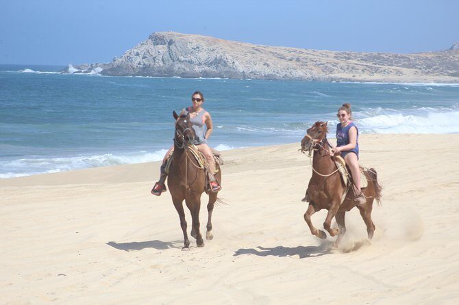 Cabo White Sand Horseback Riding Tour and Tequila Tasting - Key things to know before you ride in Cabo
