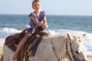 Cabo White Sand Horseback Riding Tour and Tequila Tasting - White-sand beach riding: ocean views and real wildlife chances