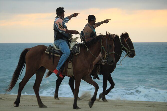 Cabo White Sand Horseback Riding Tour and Tequila Tasting - Tequila tasting at the end: included sample, just don’t ignore the upsell