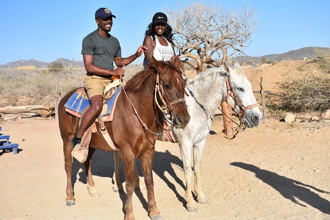 Cabo White Sand Horseback Riding Tour and Tequila Tasting - Price and logistics reality check: what $85 gets you in Cabo
