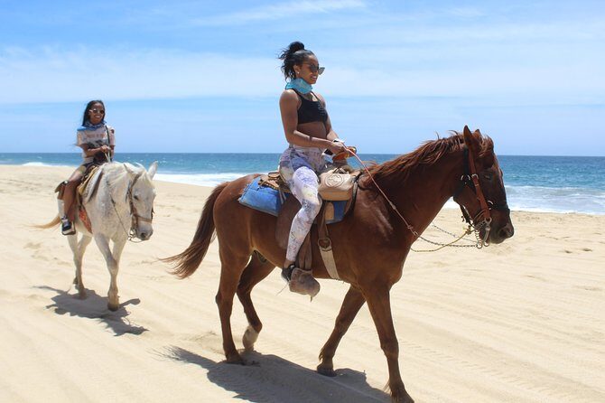 Cabo White Sand Horseback Riding Tour and Tequila Tasting - Who should book this Cabo horseback tour (and who should skip)