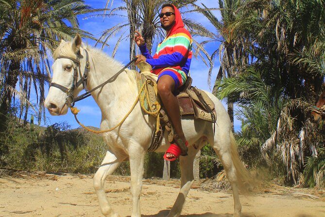 Cabo White Sand Horseback Riding Tour and Tequila Tasting - Should you book the Cabo White Sand Horseback Riding and Tequila Tasting tour?
