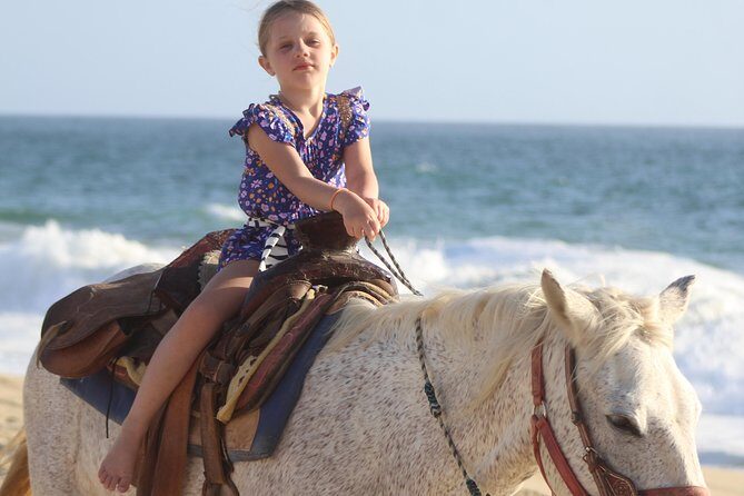 Cabo White Sand Horseback Riding Tour and Tequila Tasting - White-sand beach riding: ocean views and real wildlife chances