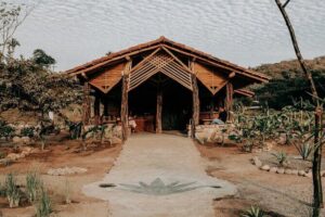 Cachasol Raicilla and Tequila Tour - The tasting and open bar feel: what’s included in your drinks
