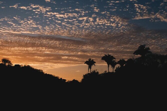 Cachasol Raicilla and Tequila Tour - Who should book this tour (and who might prefer something else)