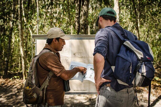 Calakmul Ancient Maya City Tour - From Campeche - Who should book this Calakmul day trip (and who should think twice)