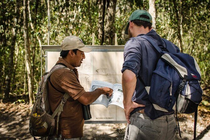 Calakmul Ancient Maya City Tour From Xpujil - Key points to know before you go