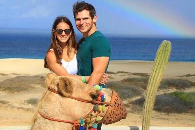 Camel Encounter and Safari Ride with Lunch and Alcohol Tasting - Key highlights you’ll care about
