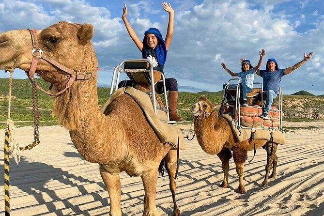 Camel Encounter and Safari Ride with Lunch and Alcohol Tasting - Camel ride on the beach: the whole point of the tour