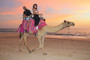Camel Encounter and Safari Ride with Lunch and Alcohol Tasting - What the timing feels like (and why you might wait)