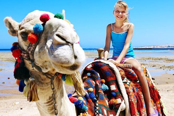 Camel Encounter and Safari Ride with Lunch and Alcohol Tasting - Lunch and tacos: the included meal is worth it