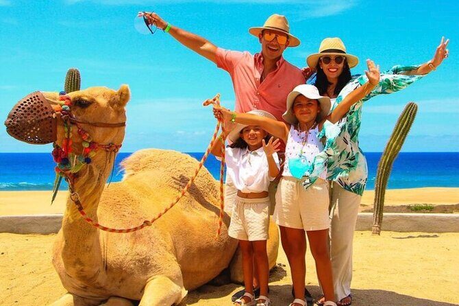 Camel Encounter and Safari Ride with Lunch and Alcohol Tasting - Photos and phone rules: the biggest surprise for many people