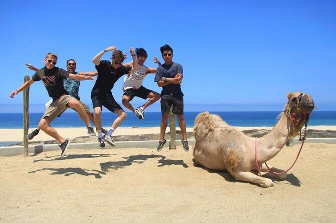 Camel Encounter and Safari Ride with Lunch and Alcohol Tasting - Extra fees: budget for the $25 entry fee and photo upsells