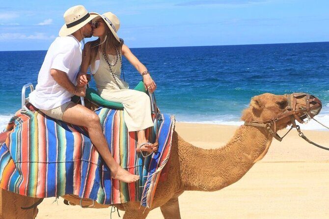 Camel Encounter and Safari Ride with Lunch and Alcohol Tasting - Pickup and logistics: easy when you’re on time