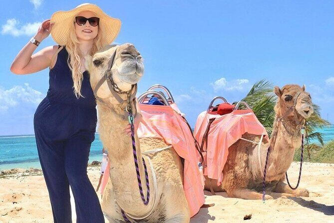 Camel Expedition and Beach Club In Riviera Maya - Your Guides and Crew: What the Best Staff Do for You