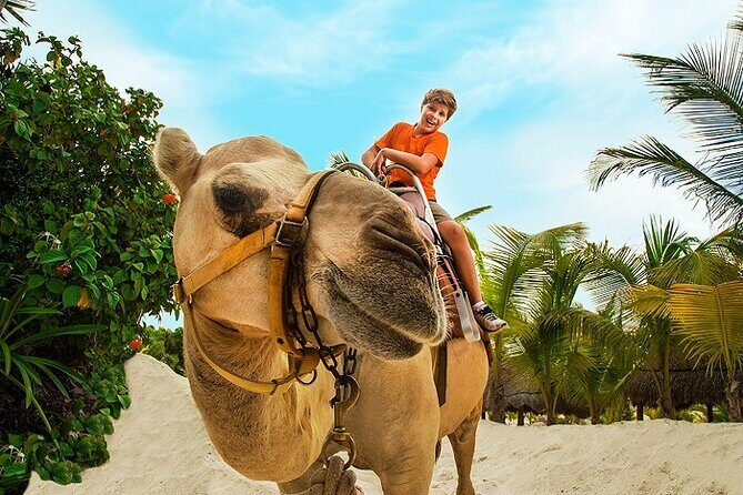 Camel Expedition and Beach Club In Riviera Maya - Who Should Book This Camel + Maroma Beach Tour (and Who Should Skip It)