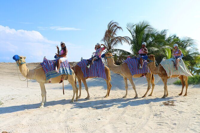 Camel Expedition and Beach Club In Riviera Maya - Should You Book Camel Expedition and Beach Club in Riviera Maya?