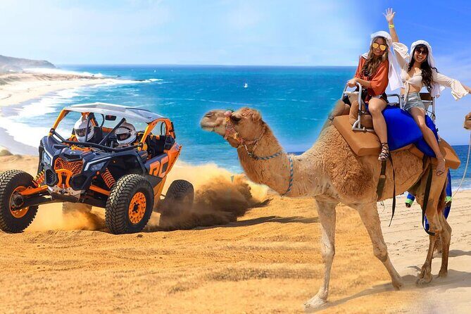 Camel Ride and UTV Combo Adventure, with Tequila Tasting - Key Things to Know Before You Go