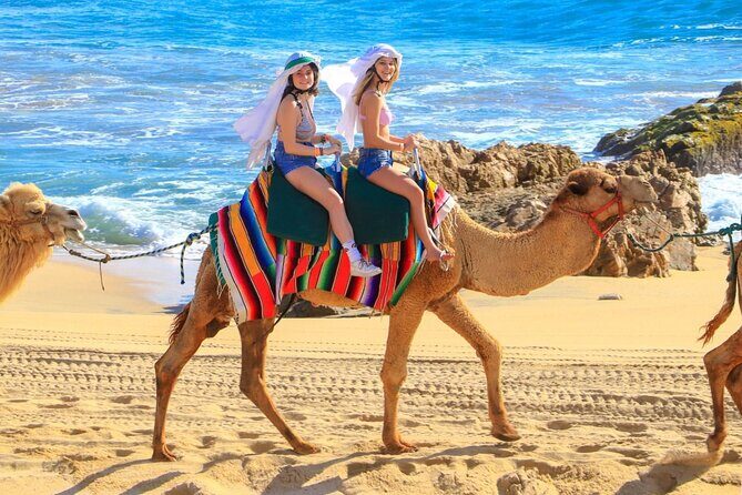 Camel Ride and UTV Combo Adventure, with Tequila Tasting - Migriño Beach Dunes and Ocean Views: The Camel Part That Feels Like a Postcard