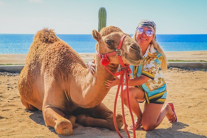Camel Ride and UTV Combo Adventure, with Tequila Tasting - Sand Dunes to Ocean Cliffs: Where the Fast Parts Feel Big