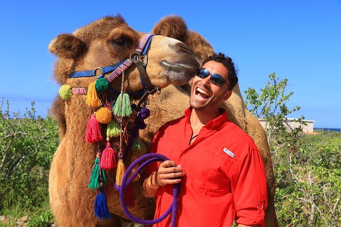 Camel Ride and UTV Combo Adventure, with Tequila Tasting - Phone and Photo Rules: How to Avoid the Sticker Shock