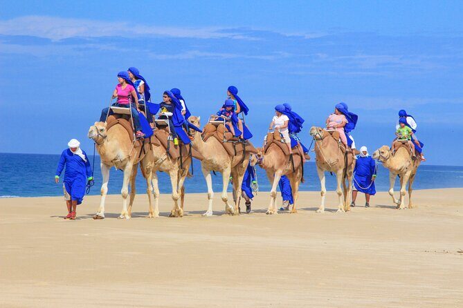 Camel Ride and UTV Combo Adventure, with Tequila Tasting - Guides Matter: Look for the People Who Make It Feel Like More Than a Ride