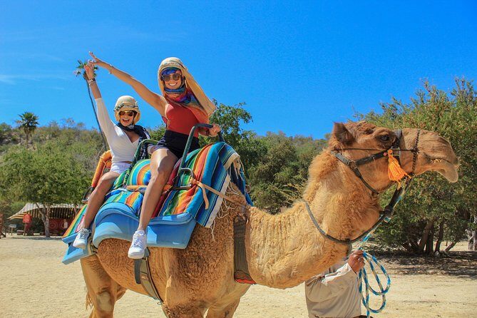 Camel Ride in the Canyon and Thrilling Water Slides and Snacks - Key points at a glance