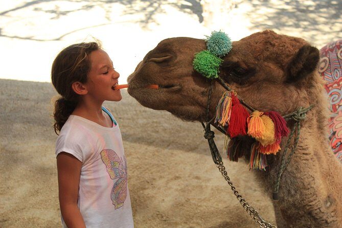 Camel Ride in the Canyon and Thrilling Water Slides and Snacks - Snacks and drinks: what’s included, and how it affects the day