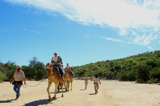 Camel Ride in the Canyon and Thrilling Water Slides and Snacks - Price and value: $115 plus the $25 park entry fee