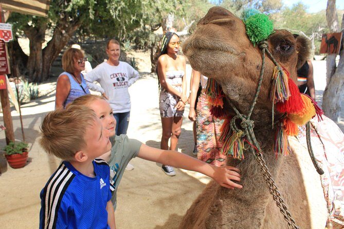 Camel Ride in the Canyon and Thrilling Water Slides and Snacks - Getting there from Cabo: pickup, shuttles, and the road reality