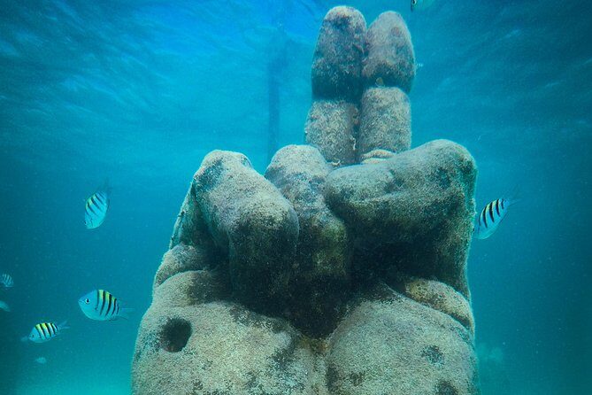 Cancun Adventure: Reef Snorkeling & Parasailing Experience - A Two-in-One Marine Day: Parasailing First, Snorkeling at Four Sites
