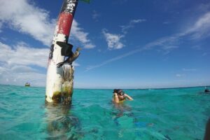 Cancun Adventure: Reef Snorkeling & Parasailing Experience - From the Boat to the Sky: What Parasailing Feels Like