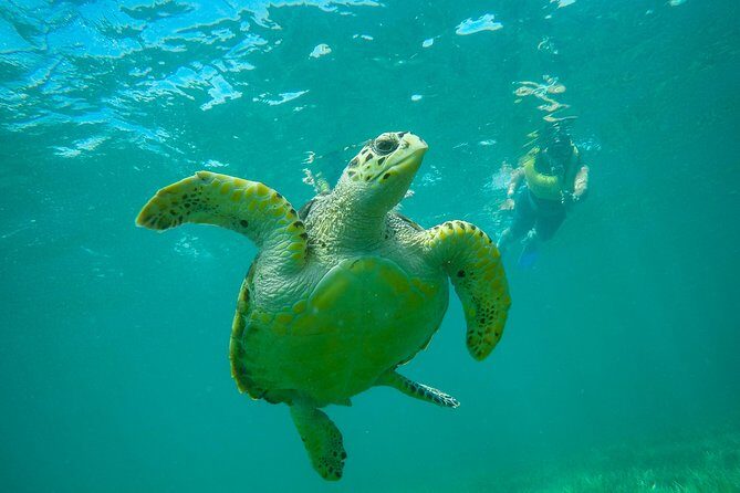 Cancun Adventure: Reef Snorkeling & Parasailing Experience - Small Boat, Real Attention: The Value of a 10-Person Limit
