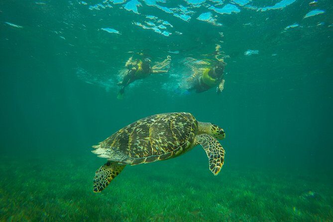 Cancun Adventure: Reef Snorkeling & Parasailing Experience - Weather Can Shift the Plan: How to Think About Wind and Refunds