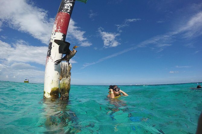 Cancun Adventure: Reef Snorkeling & Parasailing Experience - From the Boat to the Sky: What Parasailing Feels Like