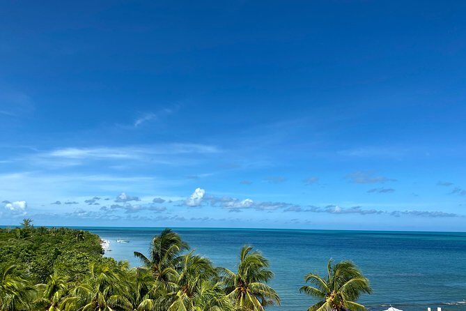 Cancun Airport Shared Shuttle to Holbox Chiquila Port - Cancun Airport to Chiquila: what this shuttle actually gets you