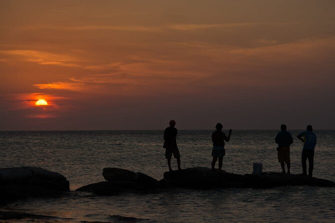 Cancun Airport to Holbox Transportation Private - Timing Tips That Keep Your Day Calm