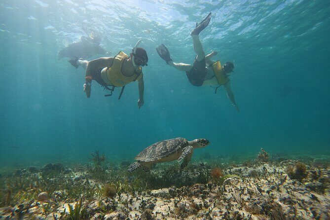 Cancun All Inclusive Catamaran Tour to Isla Mujeres - Cancun to Isla Mujeres: Why This Catamaran Day Works